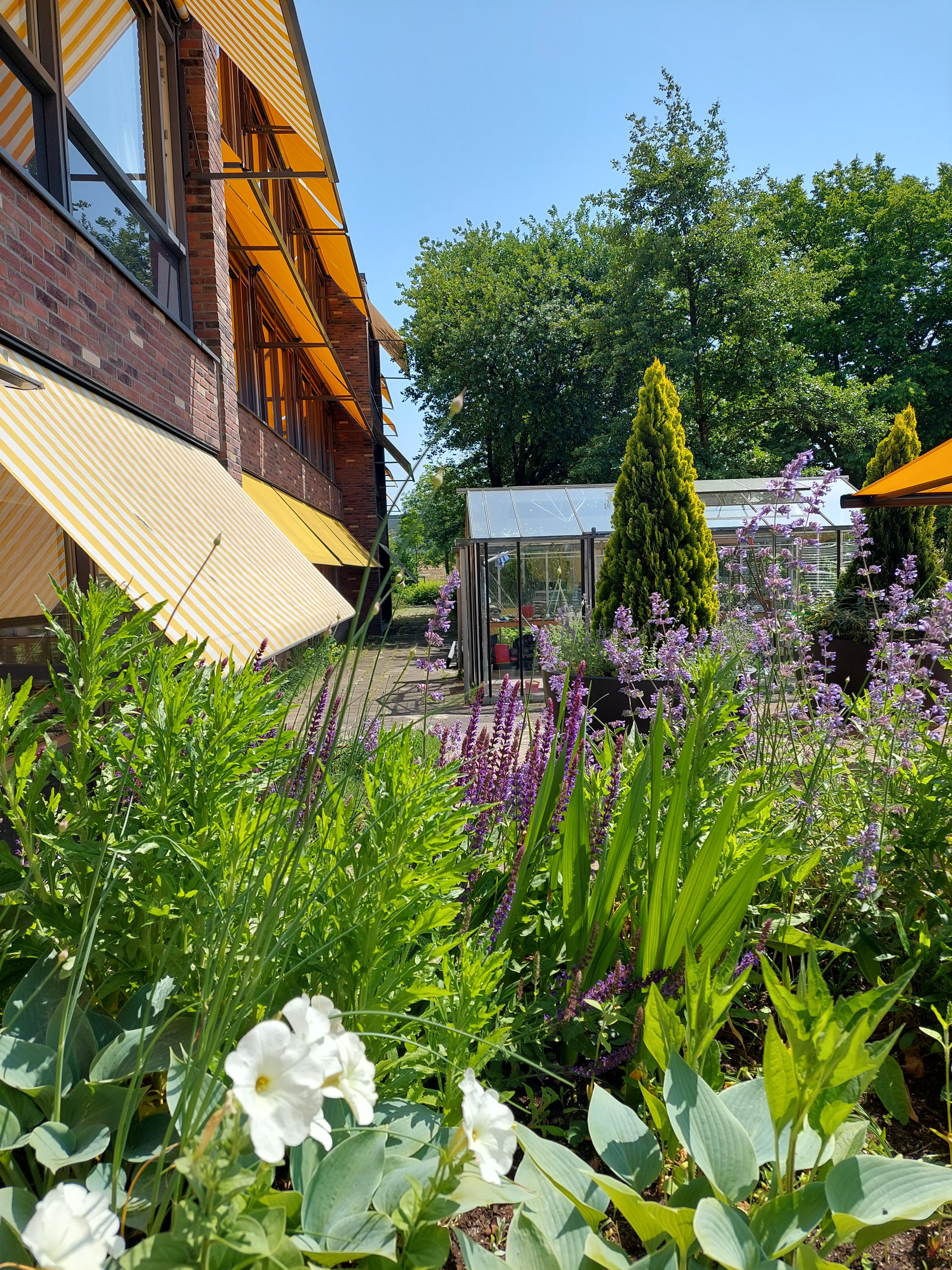 Mooie tuin met dierenweide en vijver
