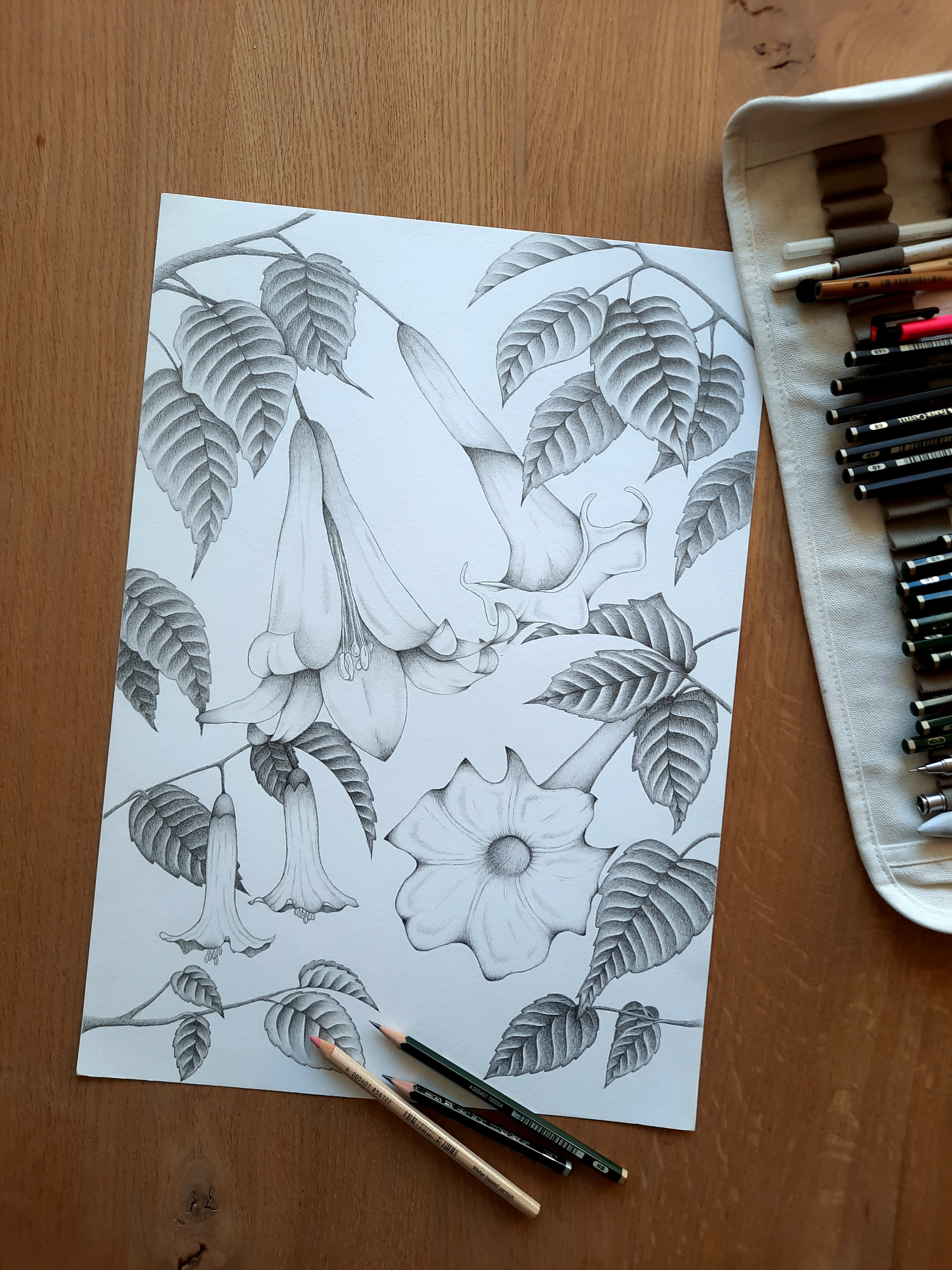 1 - Botanische tekeningen