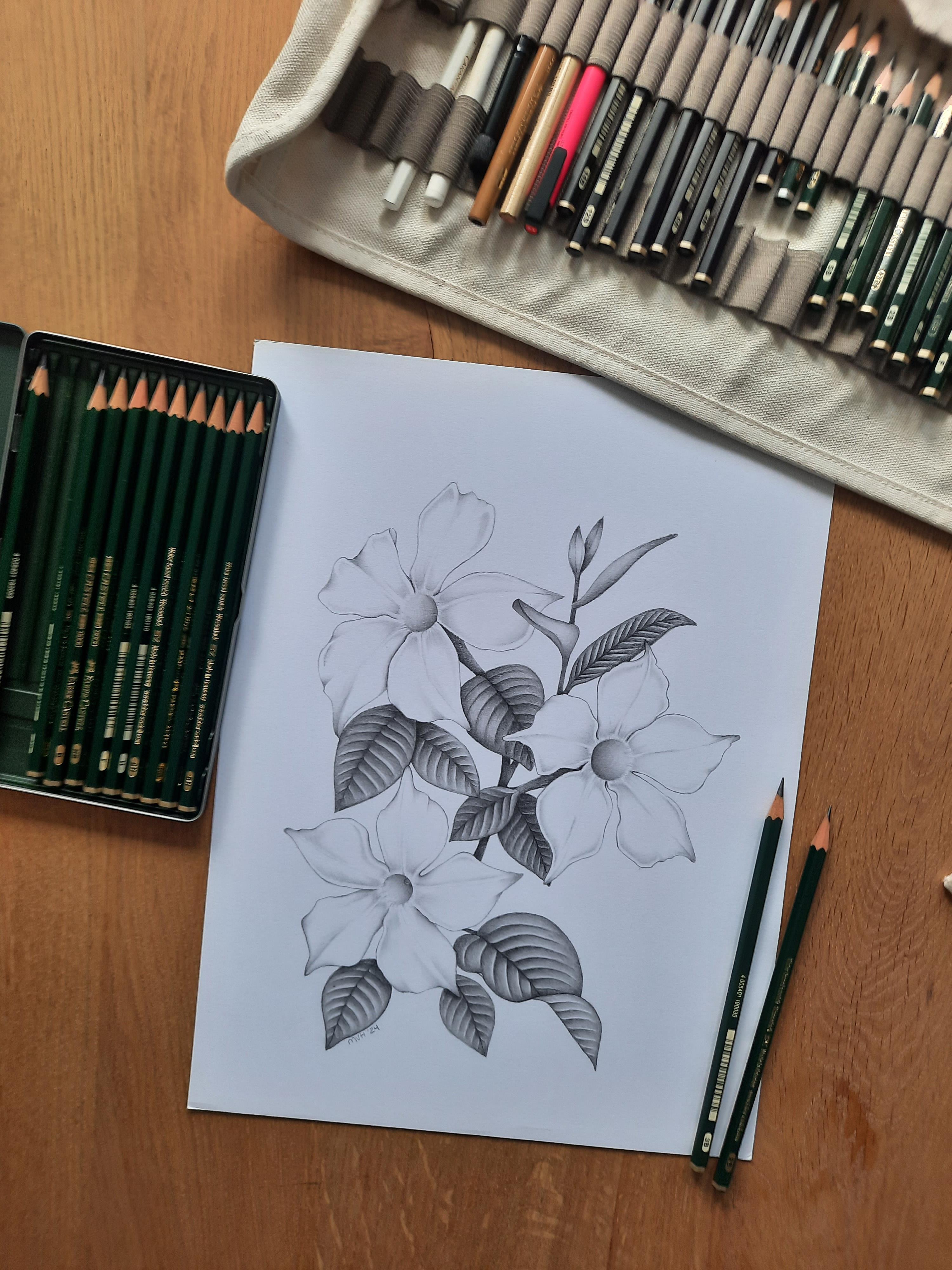 2 - Botanische tekeningen