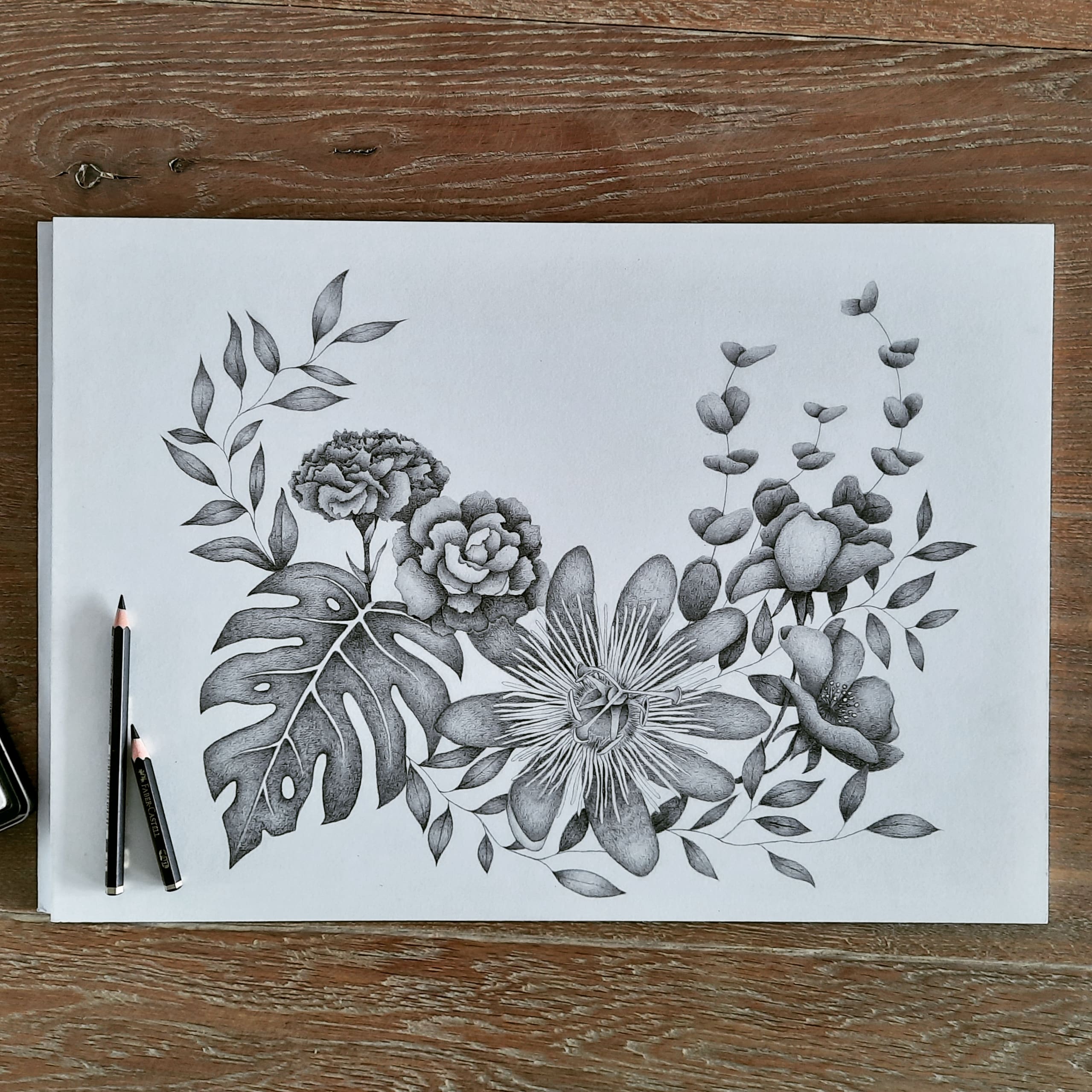 3 - Botanische tekeningen